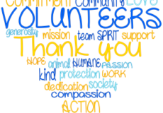 ADA 2021 Volunteer Hours as of July 24th