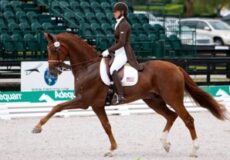 ADA Dressage Clinic Ride Times Now Available!