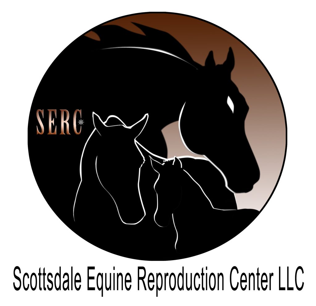SERC logo Scottsdale Equine Reproduction Center