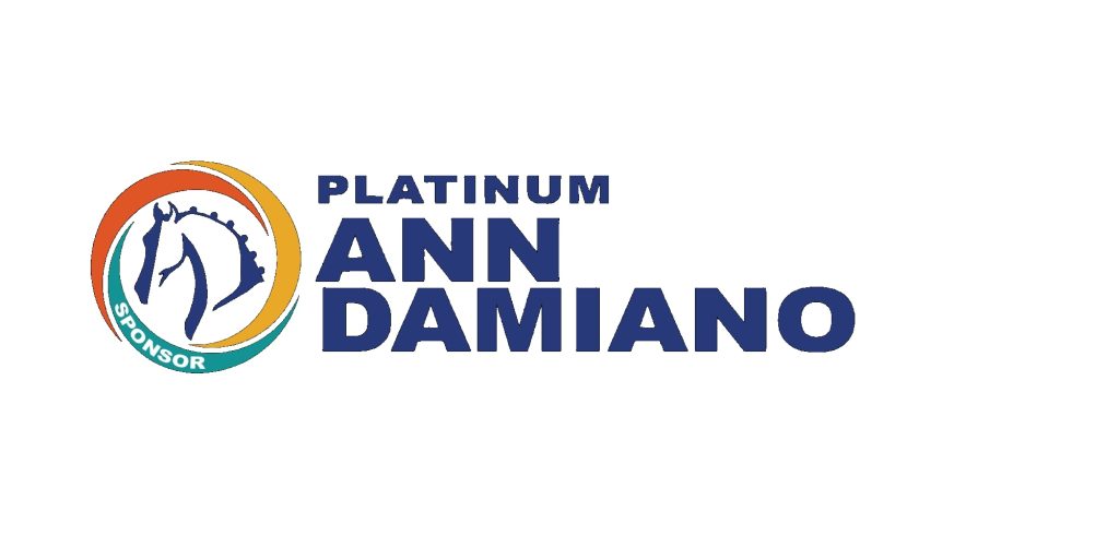 ADA_PLATINUM_Ann_Damiano