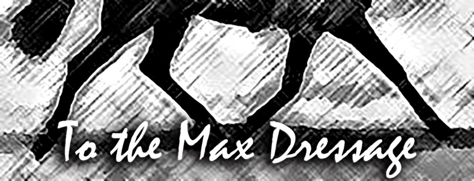 2MAX To The Max Dressage