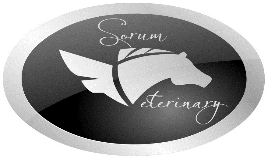 Sorum Sorum Veterinary Services